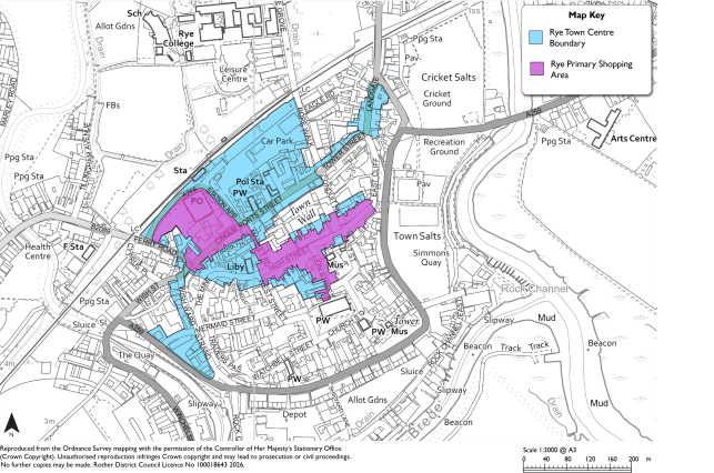 Map showing Rye town centre, with colored boundaries identifying Rye Town Centre and Rye Primary Shopping Area for land-use and retail planning. Blue marks town-centre area, magenta marks primary shopping area, while labels identify streets, car parks, railway, River Rother, recreation ground, and surrounding facilities; north arrow and 100-metre scale support orientation.